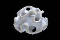Eponge fossile (Plocoscyphia labrosa, Turonien, Crétacé)